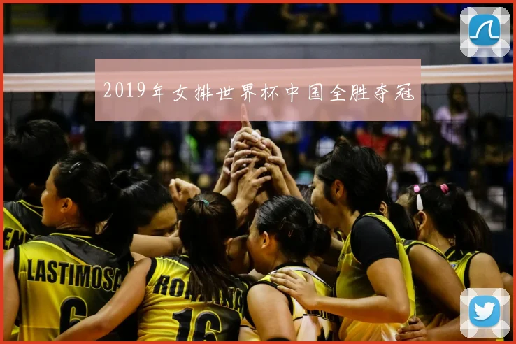 2019年女排世界杯中国全胜夺冠