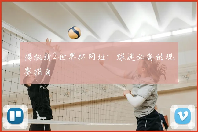 揭秘新2世界杯网址:球迷必备的观赛指南