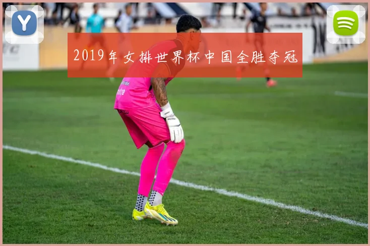 2019年女排世界杯中国全胜夺冠