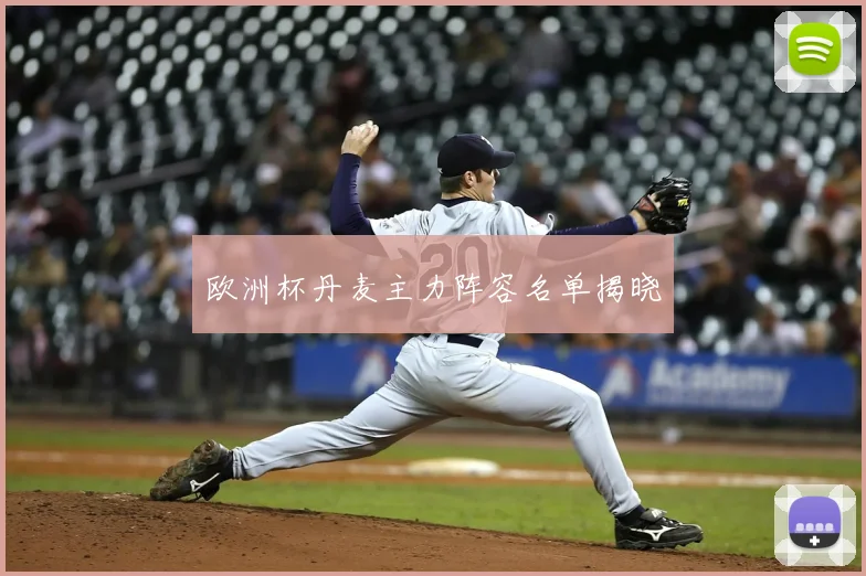 欧洲杯丹麦主力阵容名单揭晓