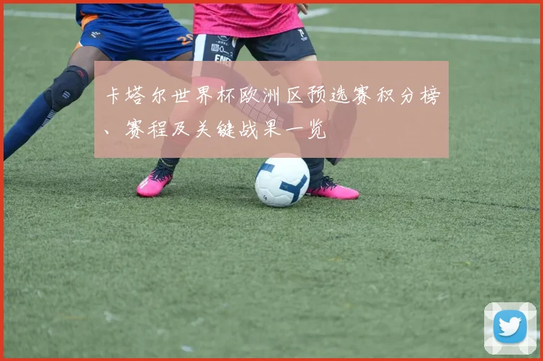 卡塔尔世界杯欧洲区预选赛积分榜、赛程及关键战果一览