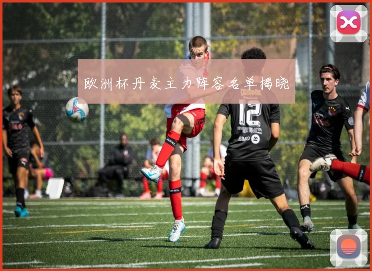 欧洲杯丹麦主力阵容名单揭晓