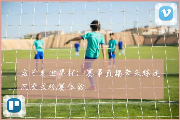 盒子看世界杯:赛事直播带来球迷沉浸式观赛体验