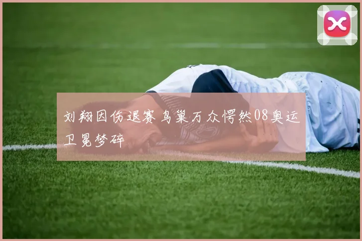 刘翔因伤退赛鸟巢万众愕然08奥运卫冕梦碎