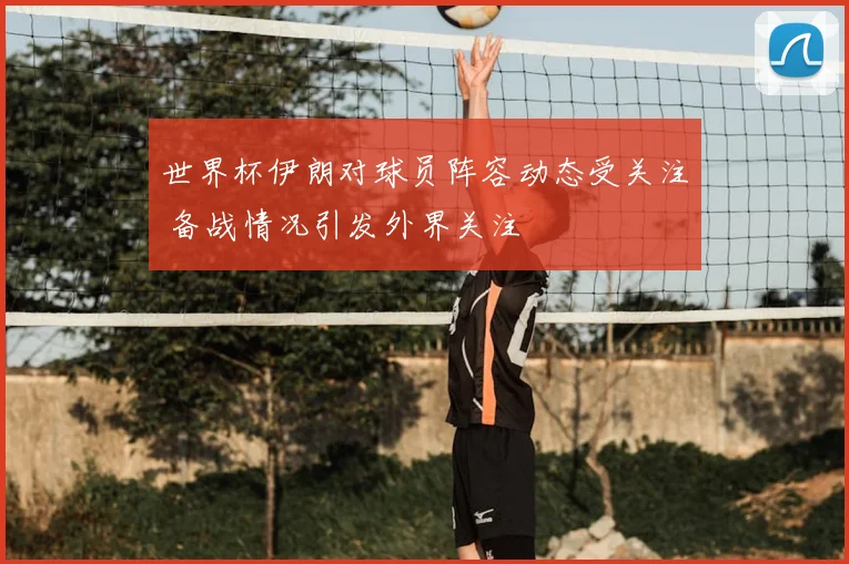 世界杯伊朗对球员阵容动态受关注 备战情况引发外界关注